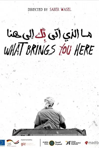 What Brings You Here