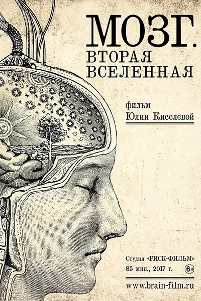 Brain. Second Universe
