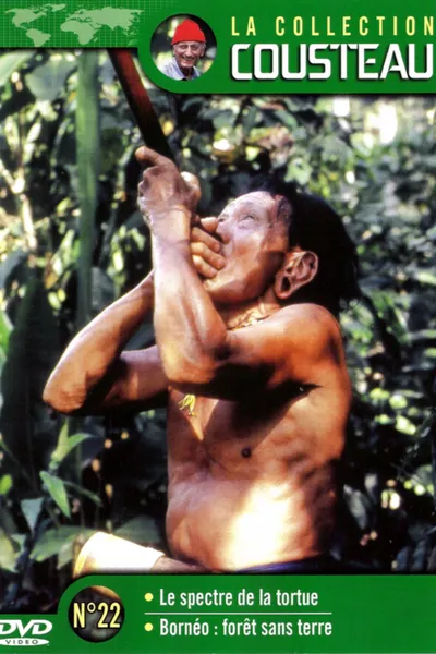The Cousteau Collection N°8-2 | In Search of Atlantis (Part 2)