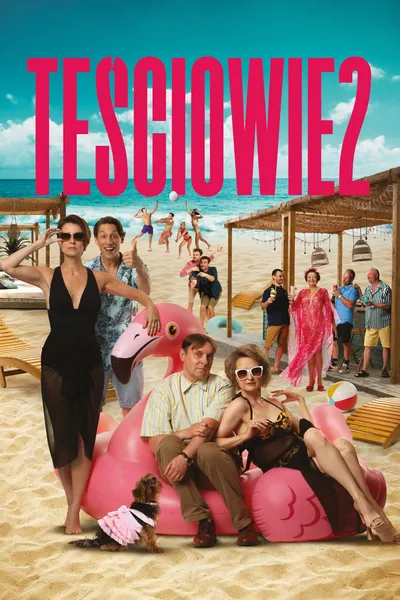 The In-Laws 2