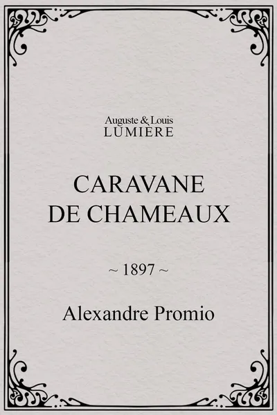 Caravane de chameaux