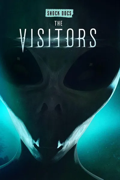 The Visitors