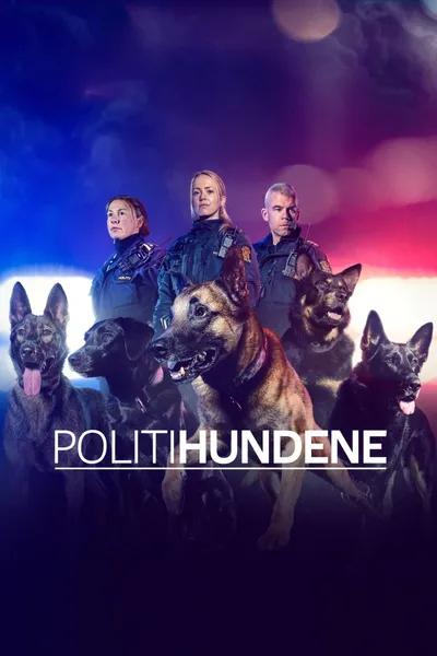 The Dog Patrol