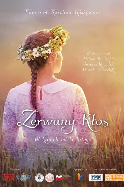 Zerwany kłos