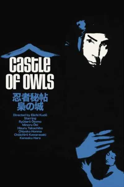 Castle of Owls