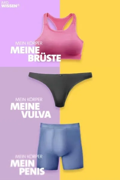 Mein Körper