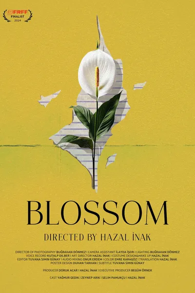 Blossom