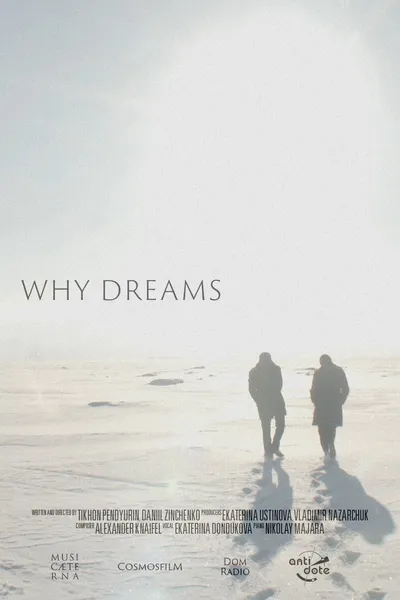 Why Dreams