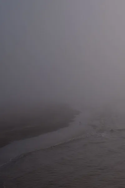 Niebla