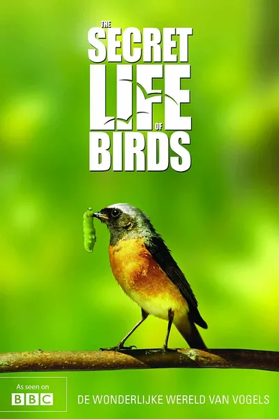 Iolo's Secret Life of Birds