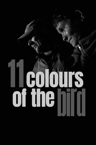 11 Colours of the Bird
