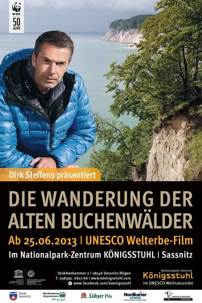 The Hike Through the Ancient Beech Forests - UNESCO World Heritage since 2011